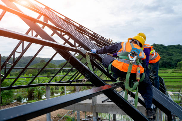 Best Roof Gutter Cleaning  in Vevay, IN